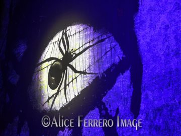 Alice Cooper @ Alcatraz – Milano (MI), 14 giugno 2016