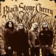 Black Stone Cherry – st