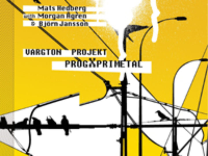 Vargton Projekt – ProgXperimental