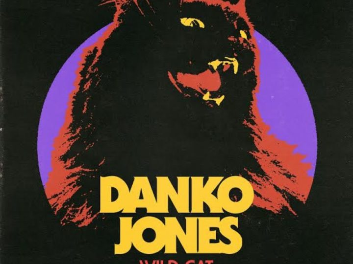 Danko Jones – Wild Cat