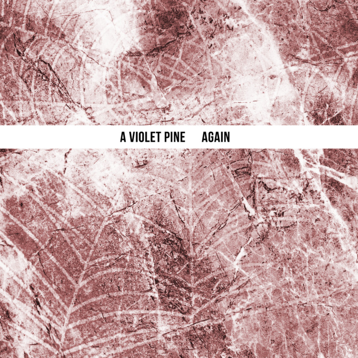 A Violet Pine – Again