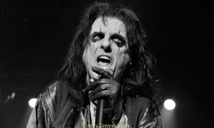 Alice Cooper, “Credo di non aver mai rifiutato un autografo a nessuno”