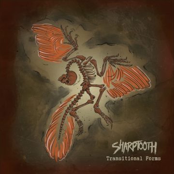 Sharptooth – Transitional Forms