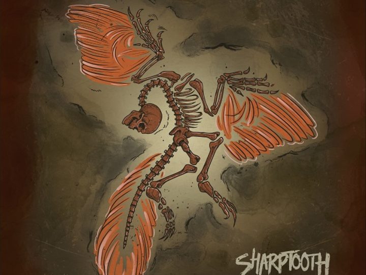 Sharptooth – Transitional Forms