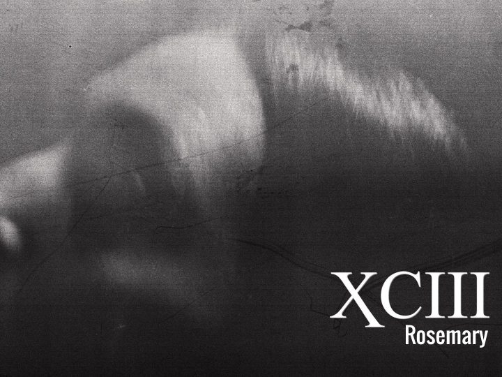 XCIII, ‘Rosemary’ è il secondo estratto dall’imminente nuovo disco