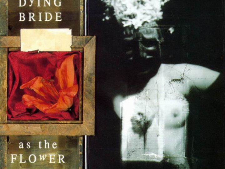 My Dying Bride – I trent’anni di ‘As The Flower Withers’