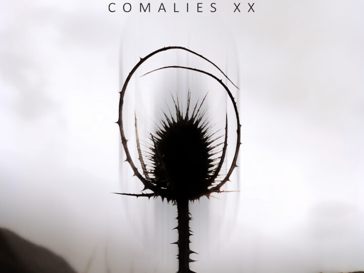 Lacuna Coil – Comalies XX