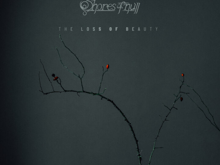 Shores Of Null – The Loss Of Beauty