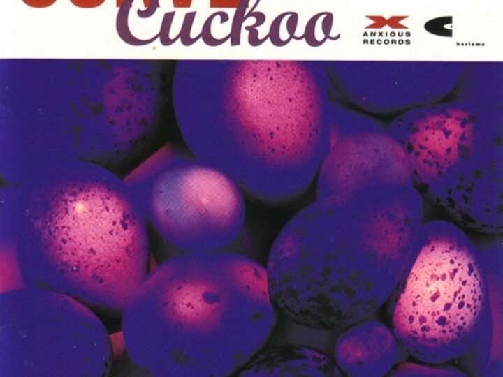 I trent’anni di ‘Cuckoo’, secondo (prezioso) oggetto smarrito dei Curve