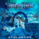 Temple Balls – Avalanche