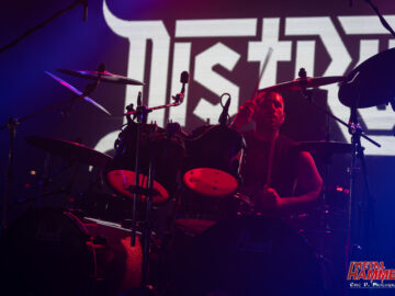 Dismember + More @ Campus Industry Parma, 11 maggio 2024