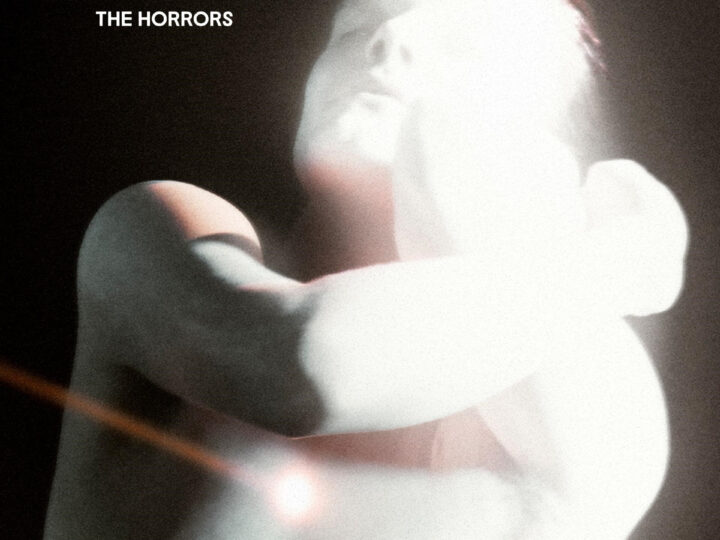 The Horrors – Night Life